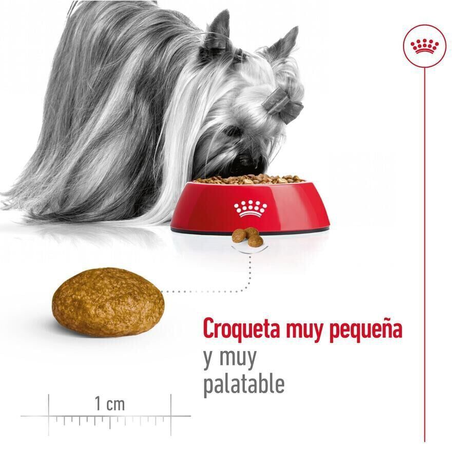 Royal Canin X-Small Adult pienso para perros thumbnail
