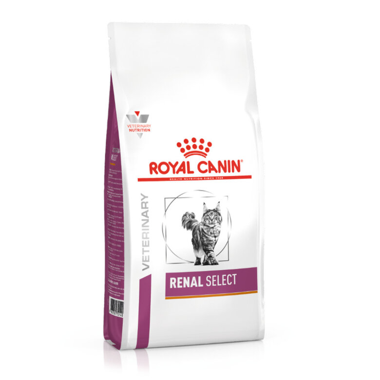 Royal Canin Veterinary Renal Select pienso para gatos, , large image number null