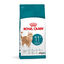 4 kg Royal Canin Ageing 11+ pienso para gatos, , large indicador imagen numero 1