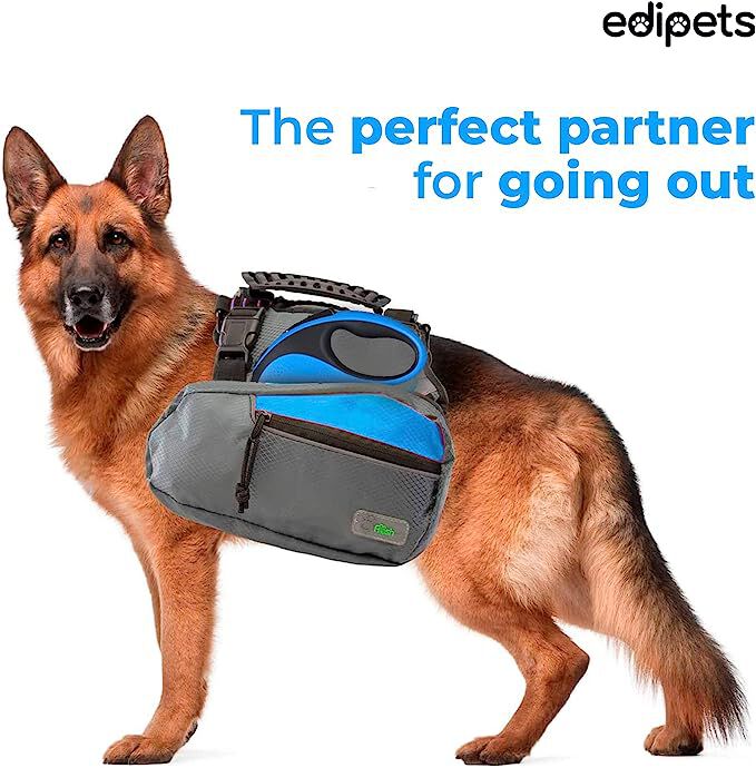Edipets correa extensible con sistema de frenado azul para perros, , large Imagen numero 4