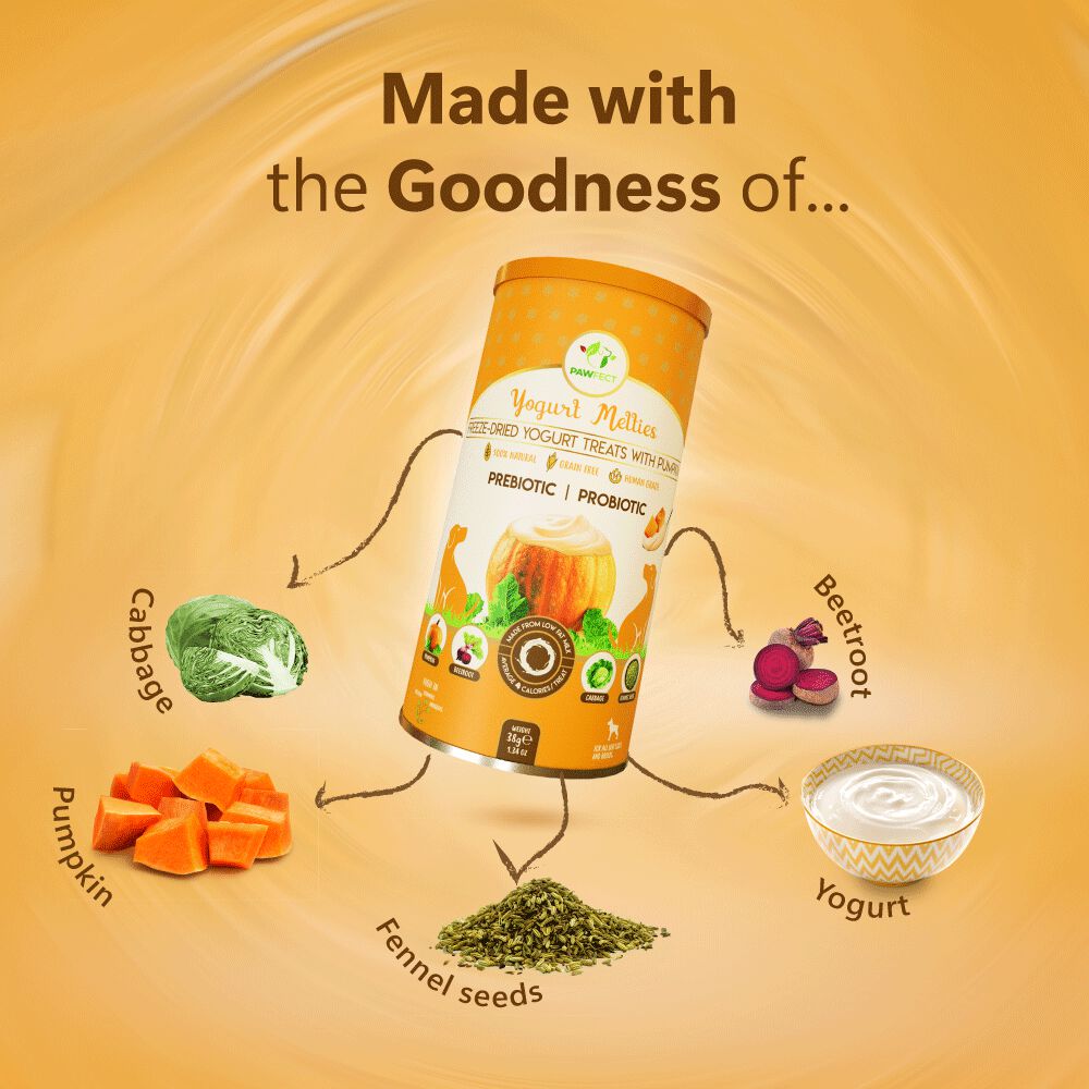 Golosinas prebi&oacute;ticas y probi&oacute;ticas para perros: calabaza y yogur (38 g/1,34 oz), , large Imagen numero 4