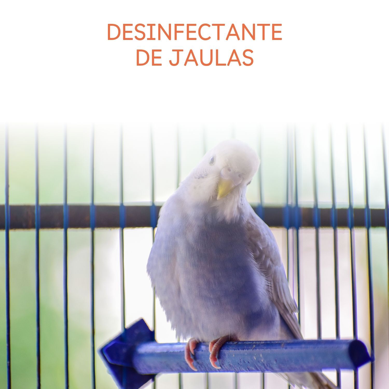 Spray Desinfectante de jaulas 750 ml, , large Imagen numero 3