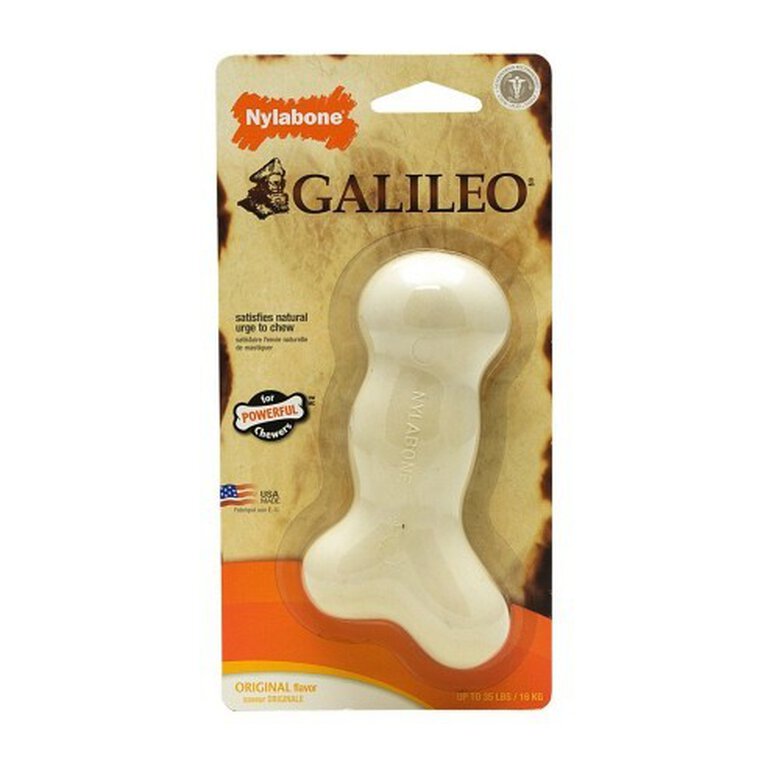 Juguete masticable hueso Interpet Limited Galileo color Blanco, , large image number null