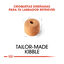 12 kg Royal Canin Adult Labrador Retriever pienso para perros, , large indicador imagen numero 5