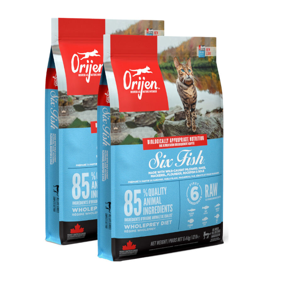 Orijen Six Fish pienso para gatos y gatitos