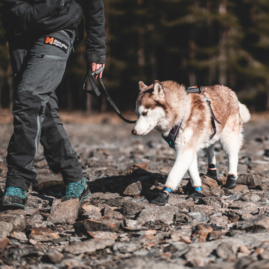 Non-stop dogwear Protector Bot&iacute;n Negro y Naranja para perros, , large Imagen numero 6