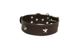 LGMCAN Collar de Piel marrón con estrella para perros