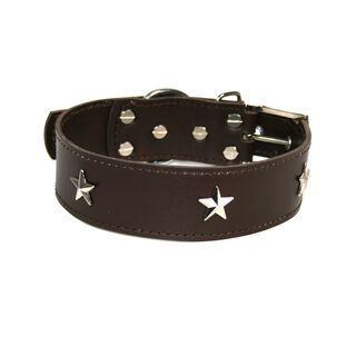 LGMCAN Collar de Piel marrón con estrella para perros