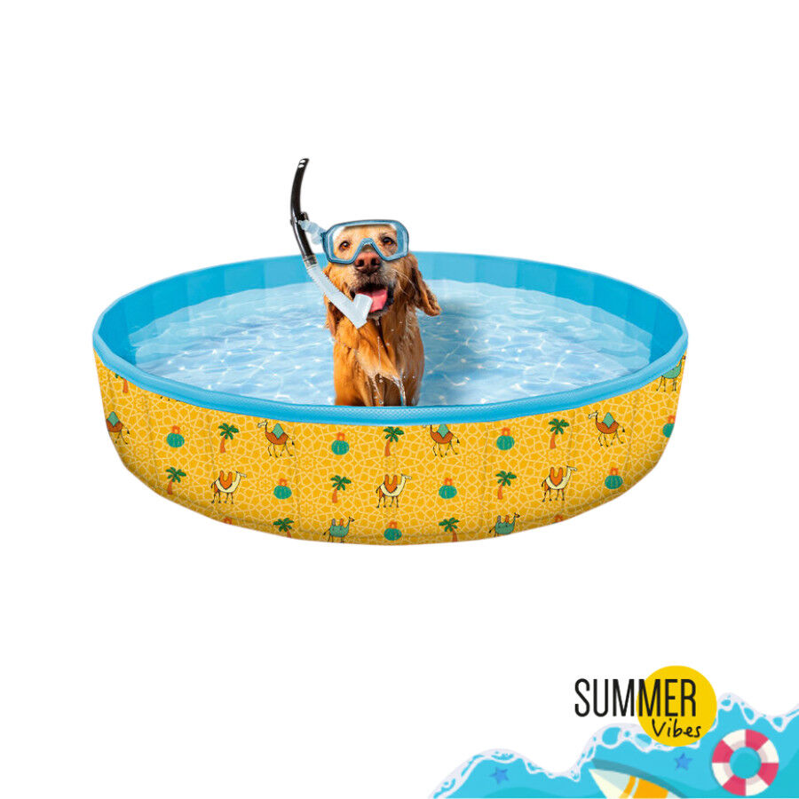 Summer Vibes Piscina para perros, , large Imagen numero 2