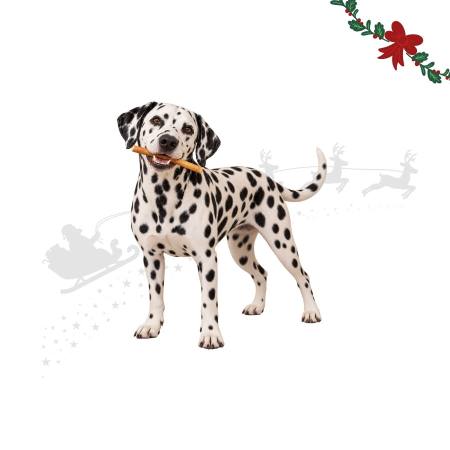 1 pack x 15 uds. Wonder Christmas Palitos Col&aacute;geno con Cordero Snacks para perros, , large Imagen numero 1
