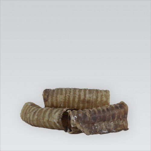 Tr&aacute;quea deshidratada para perros sabor Ternera, , large Imagen numero 1