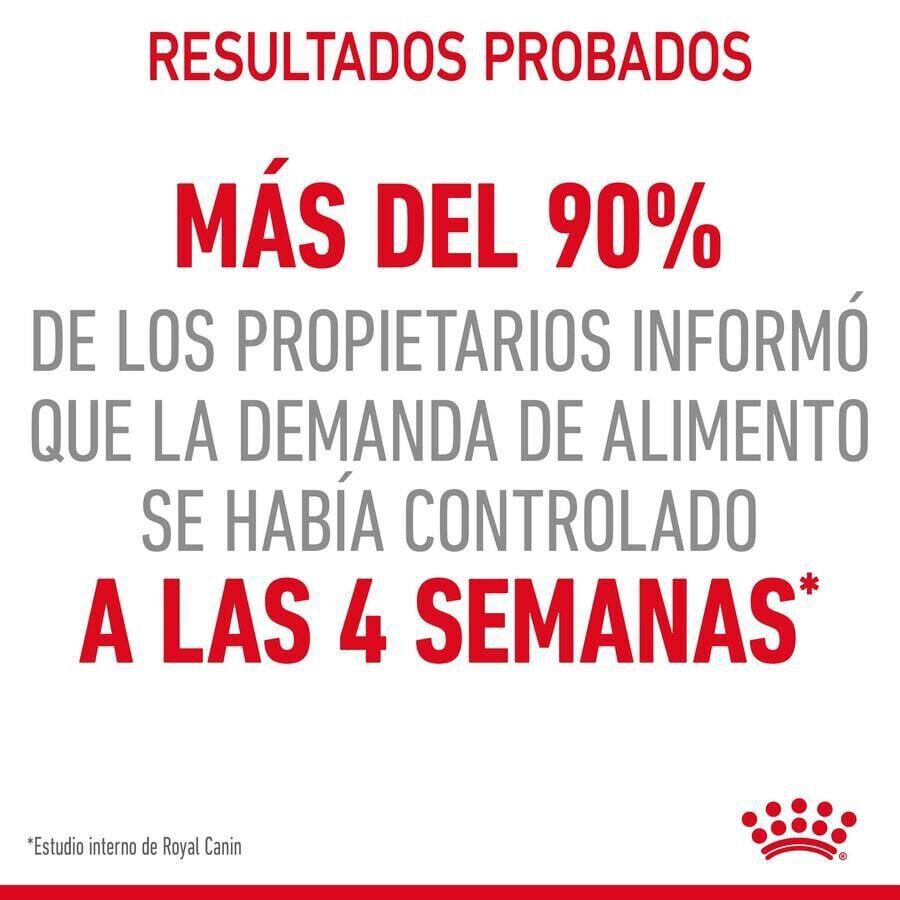 Royal Canin Appetite Control Care pienso para gatos thumbnail