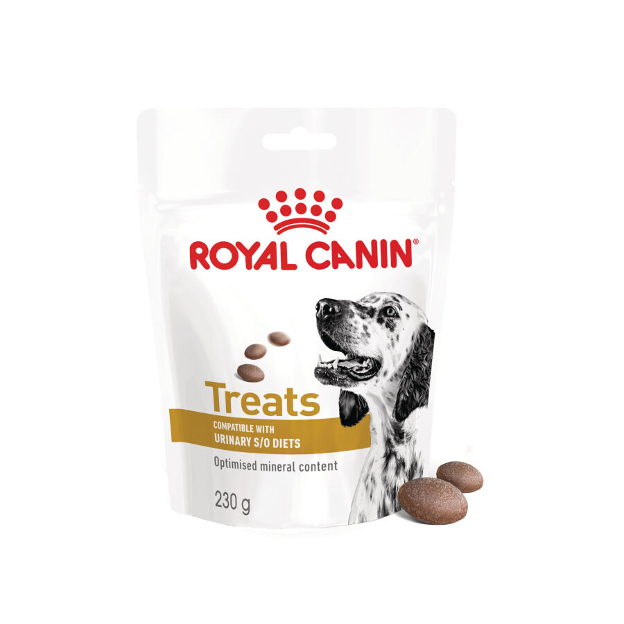Royal Canin Treats Urinary Snacks para perros thumbnail