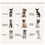 PawHut Jaula para Perros con Encimera lavable roble y negro, , large indicador imagen numero 4