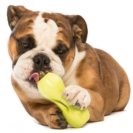 Juguete dispensador de premios para perros color Verde, , large image number null