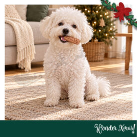 Wonder Christmas Salchichas de Pollo Snacks para perros