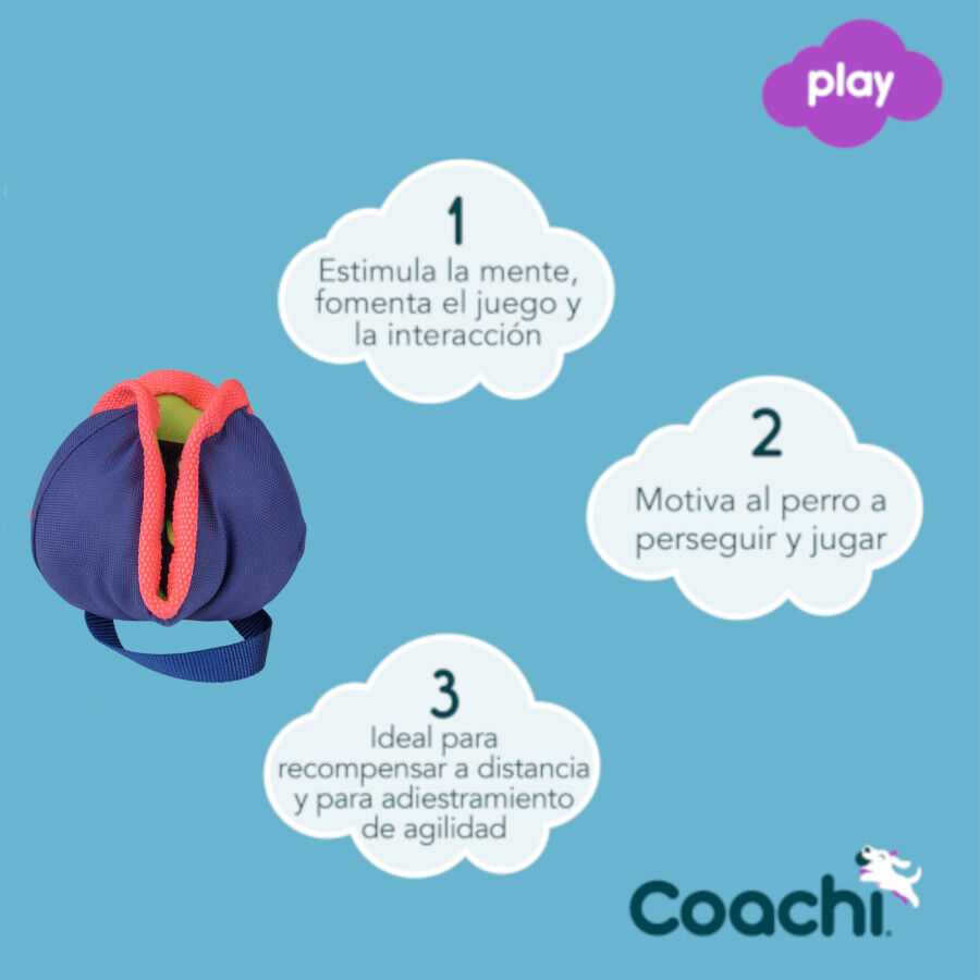 Coachi Chase&Treat juguete porta chuches azul para perros, , large Imagen numero 2