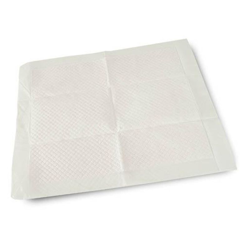 Ibañez Puppy Trainer Empapador desechable para perros thumbnail