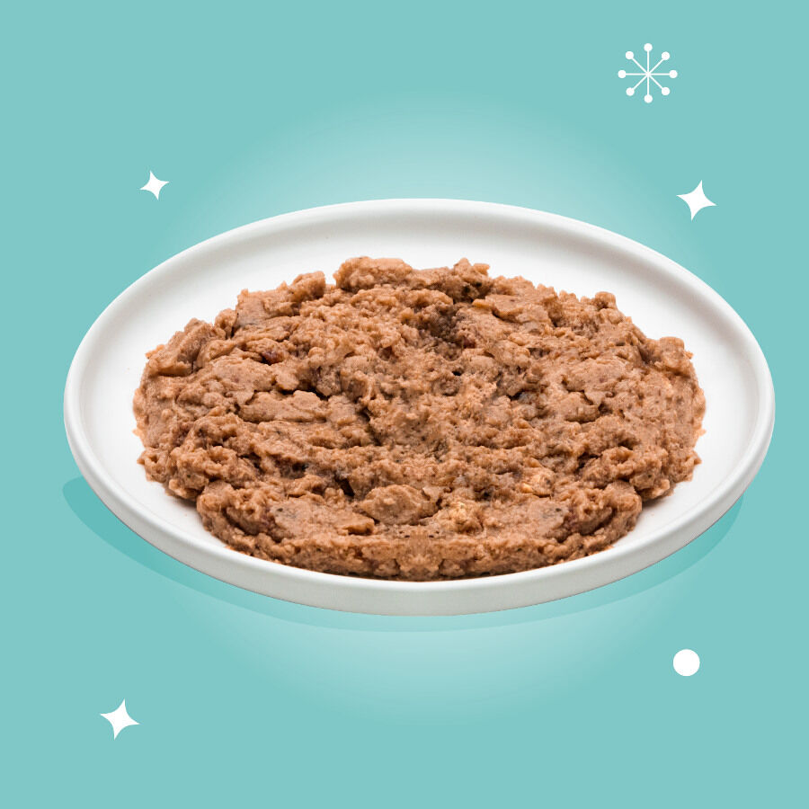 85 g Edgard & Cooper Festive Pato en Pat&eacute; tarrina para gatos, , large Imagen numero 3