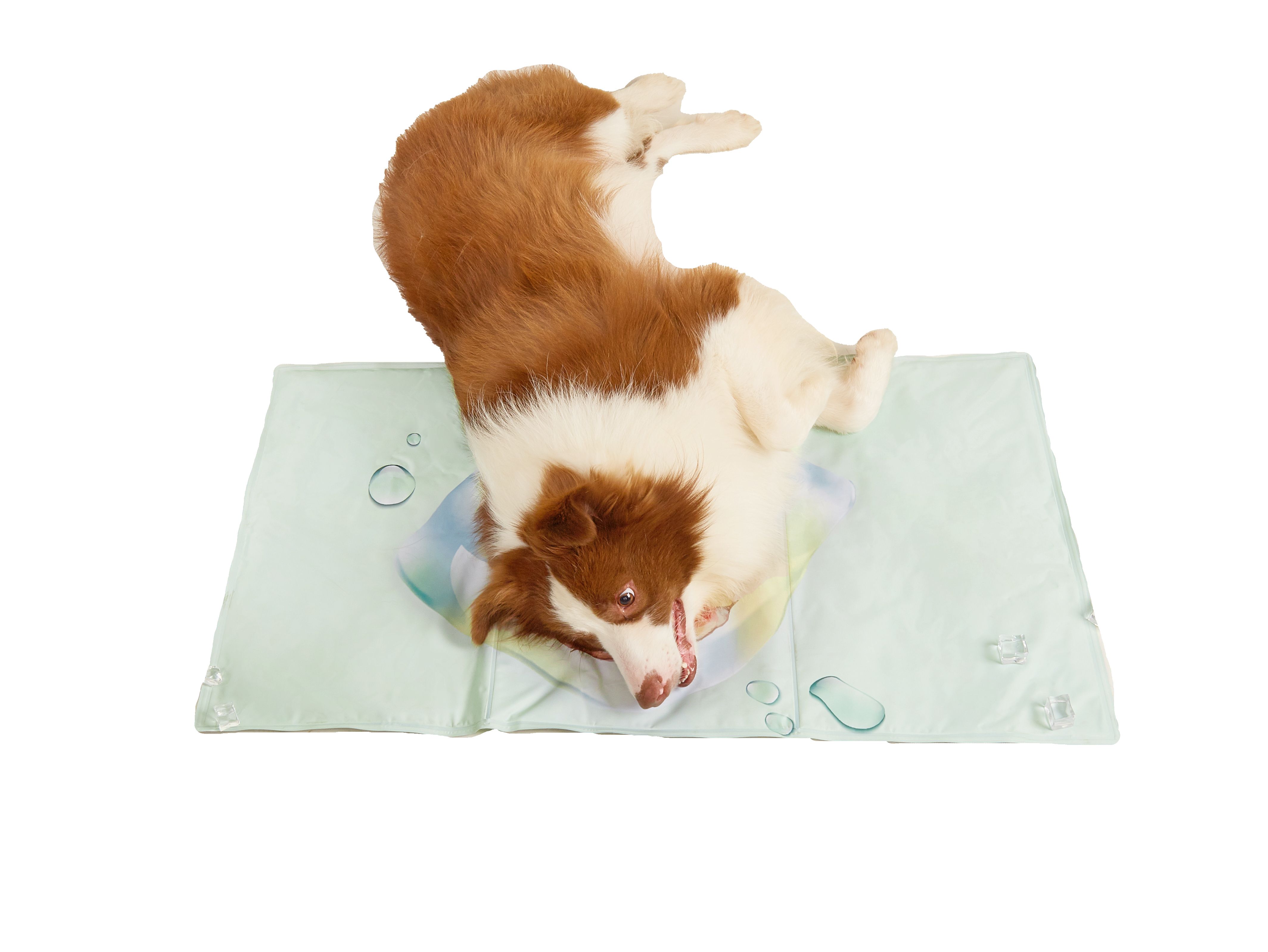FOFOS | Alfombrilla Refrescante Pi&ntilde;a - Para Perro, , large Imagen numero 4