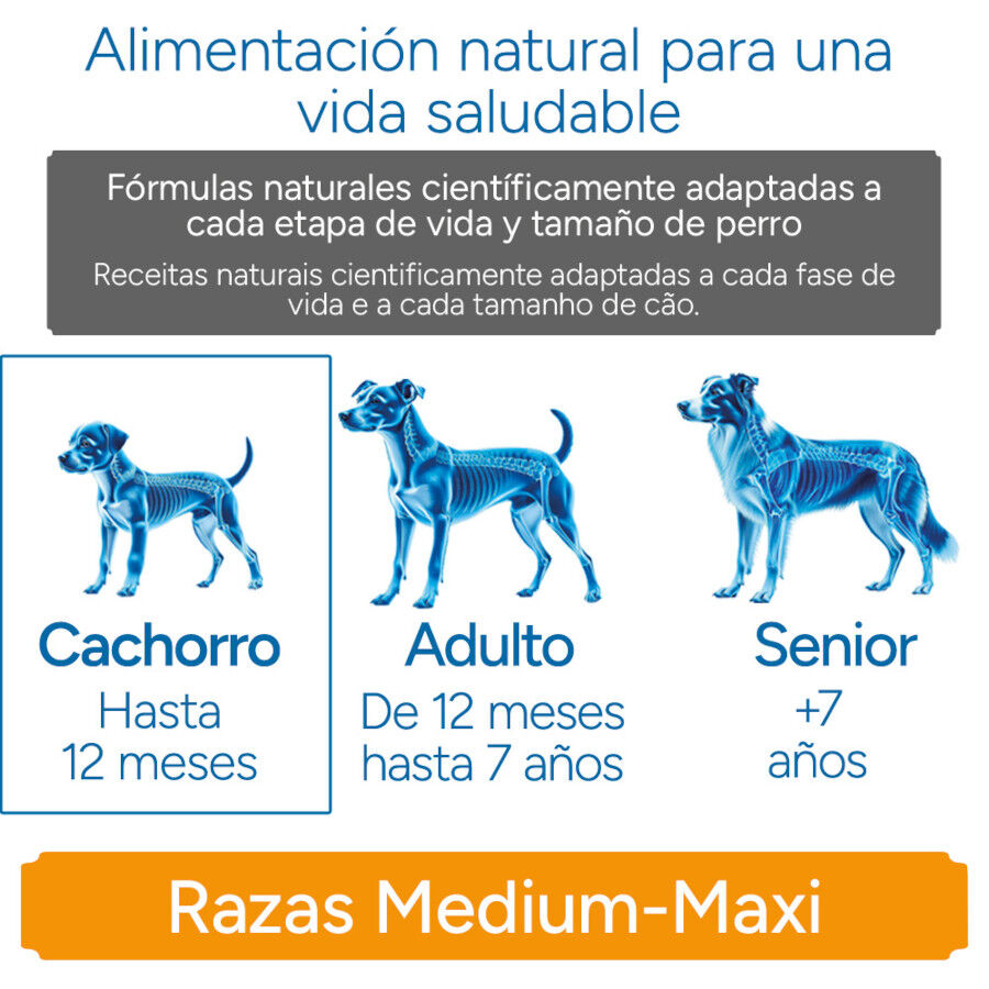 Criadores Cient&iacute;fico Medium Maxi Pienso Pollo para cachorros, , large Imagen numero 11