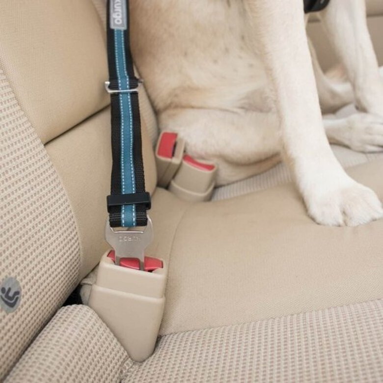Amarre cinturón de seguridad para perros color Azul, , large image number null