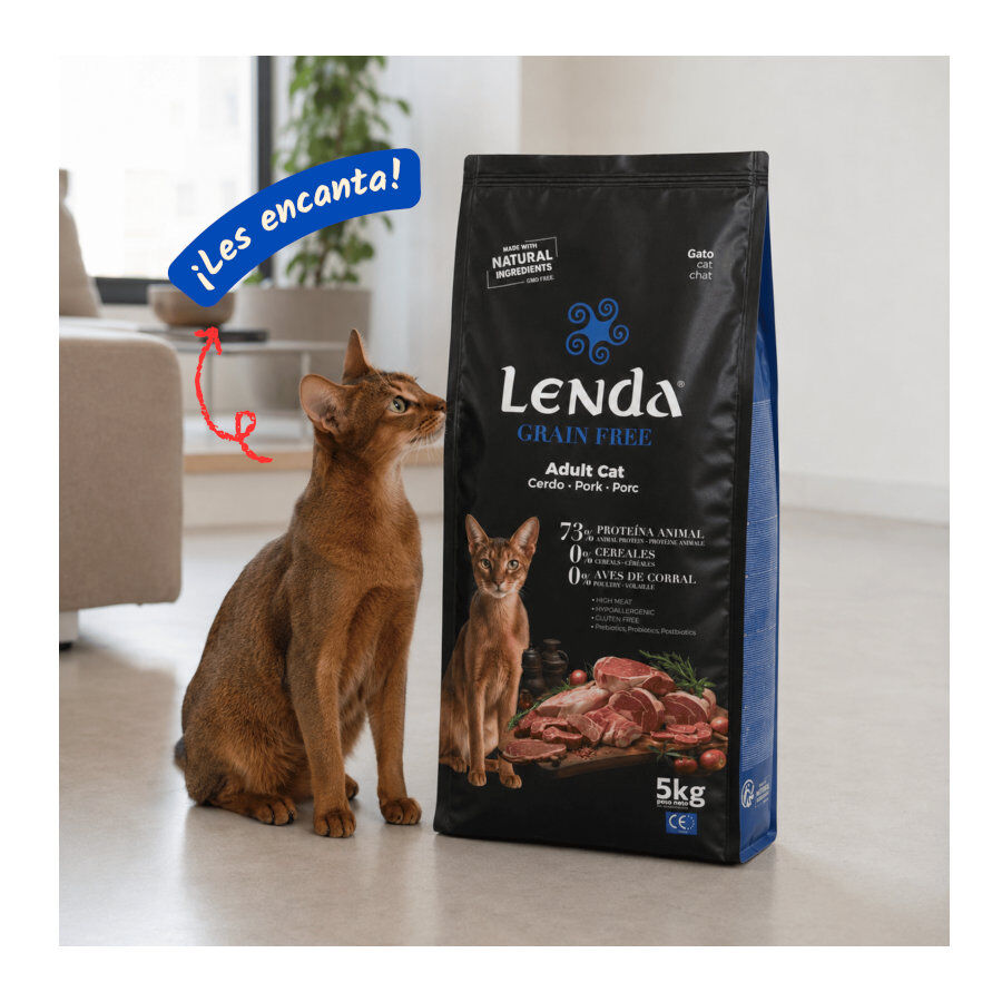2 Kg Lenda Grain Free Cerdo pienso para gatos, , large Imagen numero 5