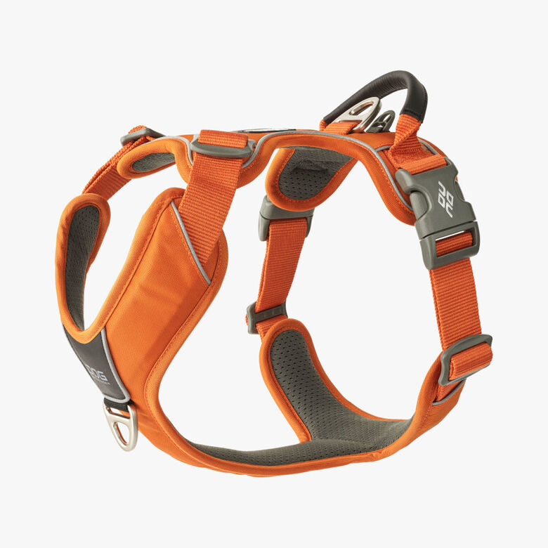 Dog Copenhagen Comfort Walk Pro Arnés Naranja para perros thumbnail