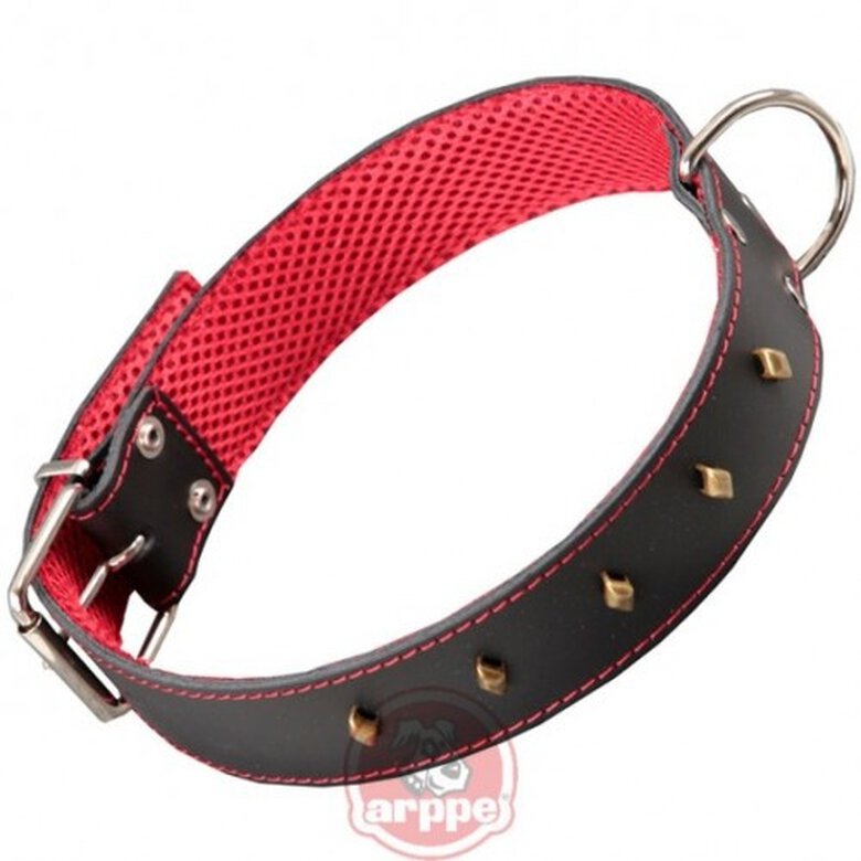 Collar Fornit cuero Amazone color Negro, , large image number null