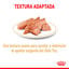 85 g Royal Canin Adult Shih Tzu Paté sobre para perros, , large indicador imagen numero 3