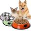 Comedero de acero MyPetCare color Verde, , large indicador imagen numero 4