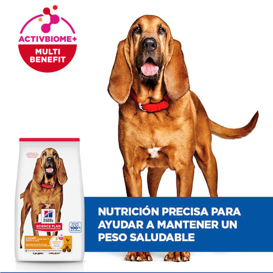 12 kg Hill's Science Plan Light Mature Adult 7+ Medium Pollo pienso para perros, , large Imagen numero 4