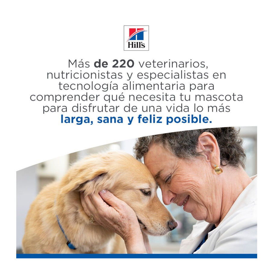 363 g Hill's Science Plan Hypoallergenic Alimento H&uacute;medo con Salm&oacute;n para Perros Adultos, , large Imagen numero 11