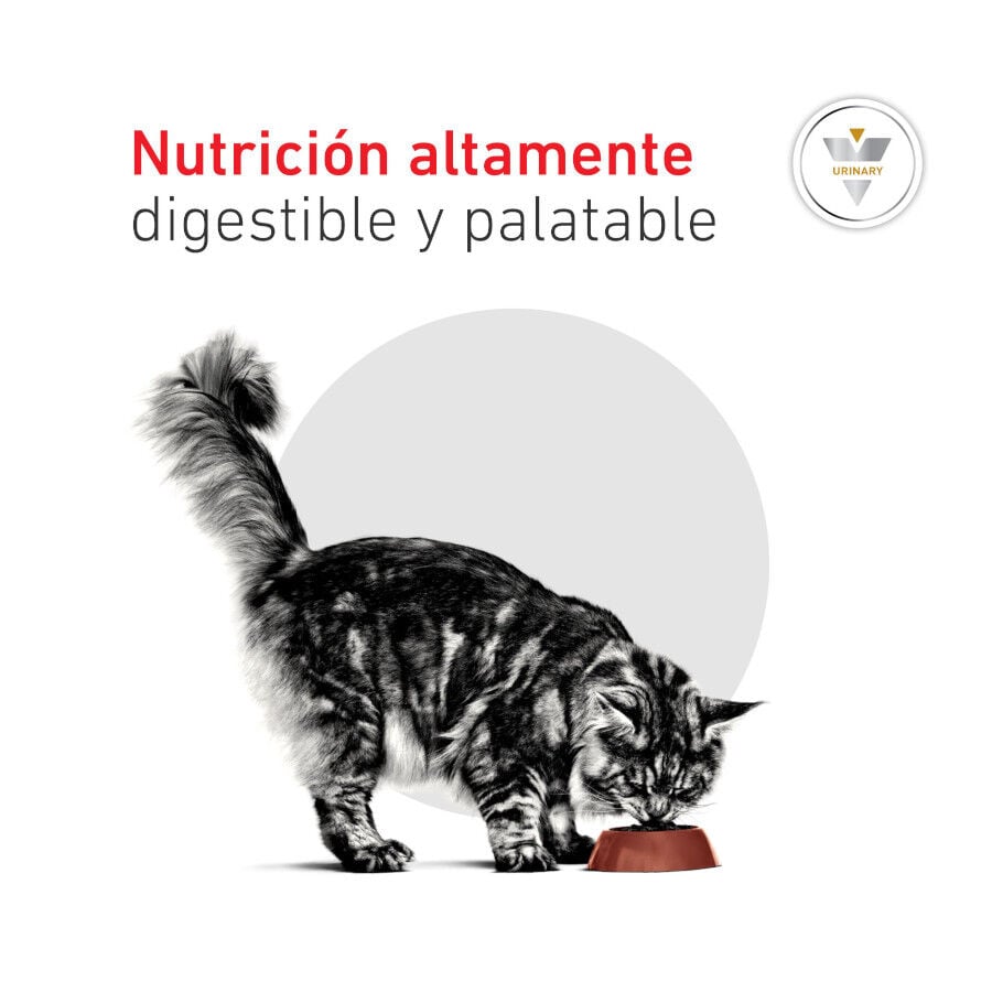 1.5 kg Royal Canin Veterinary Urinary S/O Moderate Calorie pienso para gatos, , large Imagen numero 9