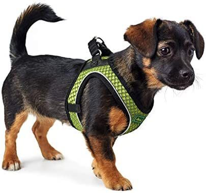 Hunter Arnés Hilo malla 3D transpirable para perros thumbnail