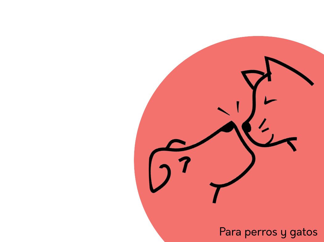 Tiras de carne de vacuno, , large Imagen numero 4