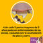 28 barritas Pedigree Dentastix Fresh Snacks Dentales para Perros Pequeños, , large indicador imagen numero 7