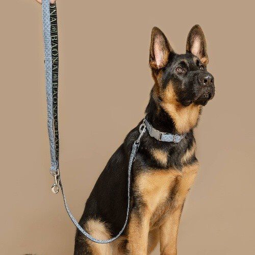 Baona correa zanz&iacute;bar multiposici&oacute;n de nylon reciclado azul para perros, , large Imagen numero 2