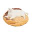 FOFOS | Cama Donut - Para Perro o Gato, , large indicador imagen numero 3