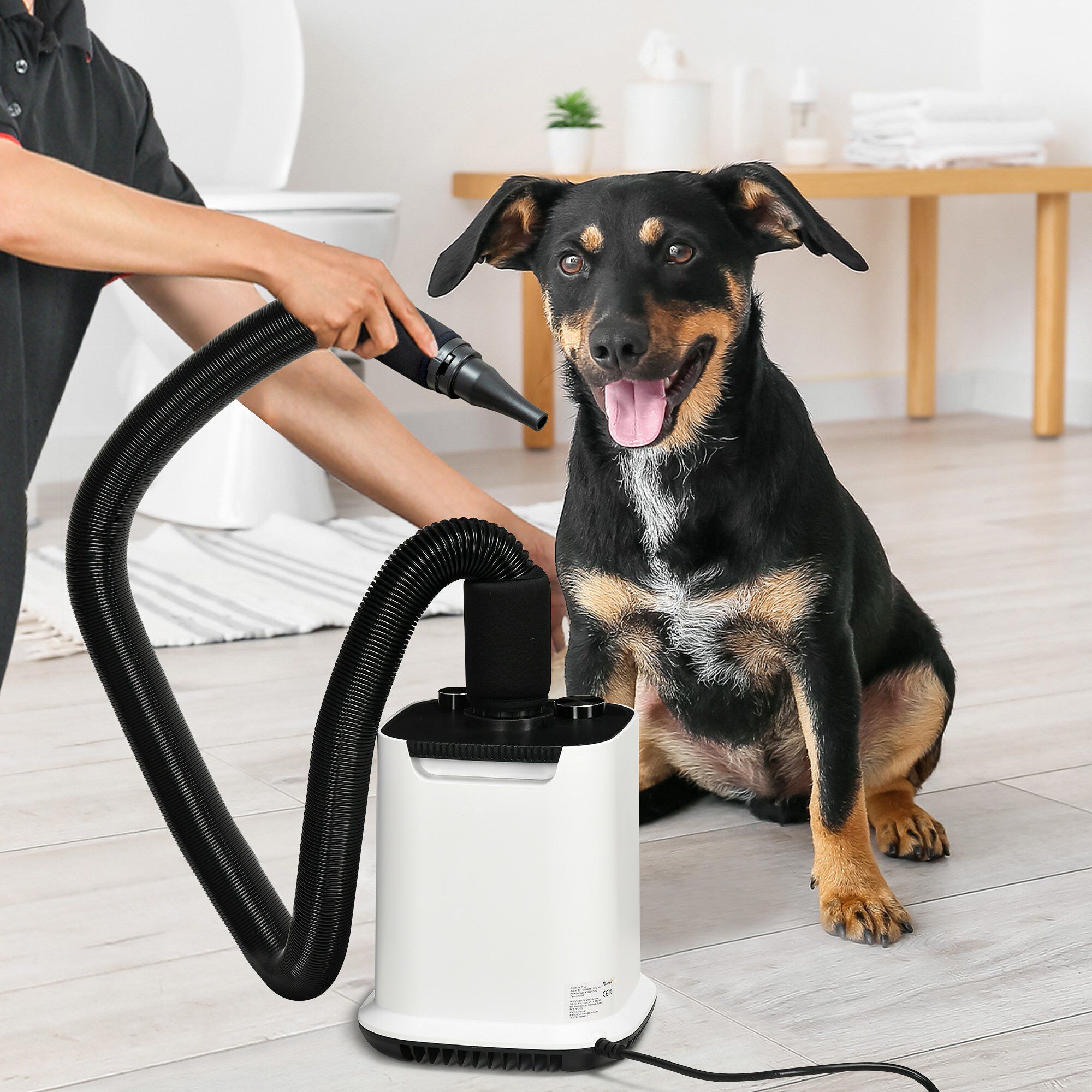 PawHut Secador de Pelo para Perros 2000W con Soplador para Mascotas Profesional con Temperatura Ajustable Velocidad Continua Manguera 1,2m 4 Boquillas 23x23x26,5 cm Blanco., , large Imagen numero 2