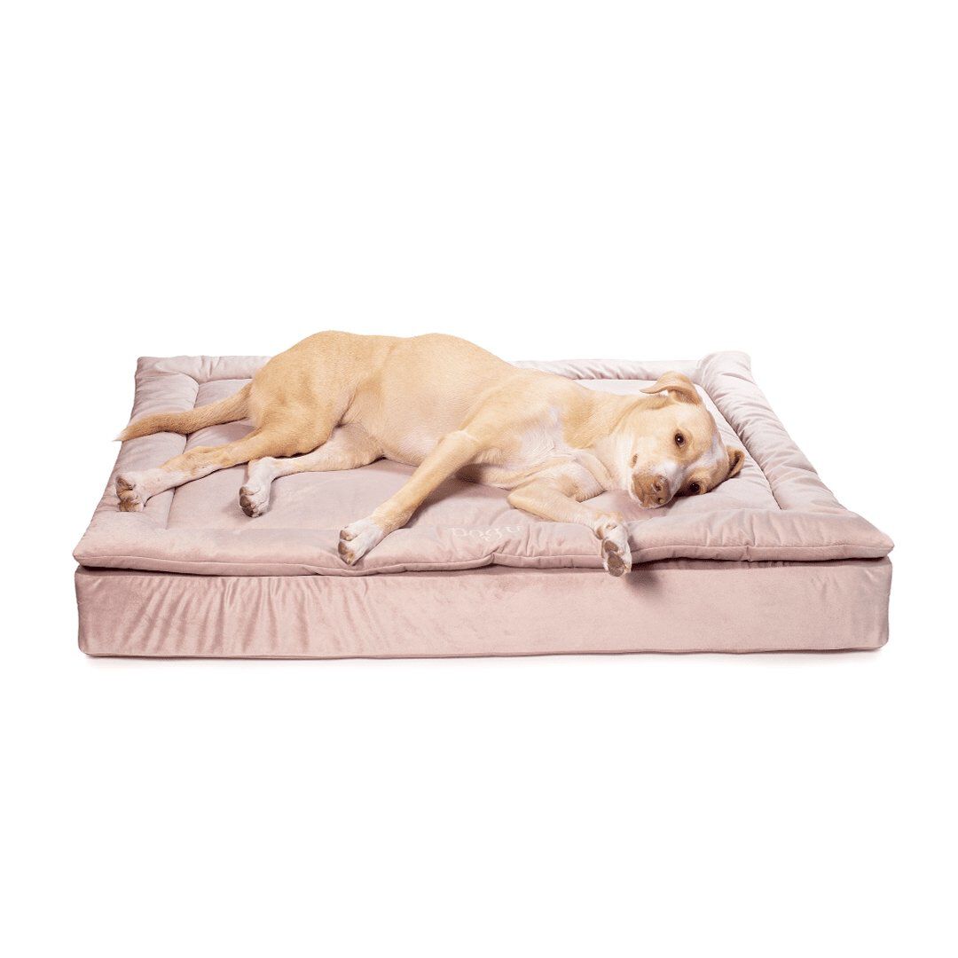 Camas tiendanimal online