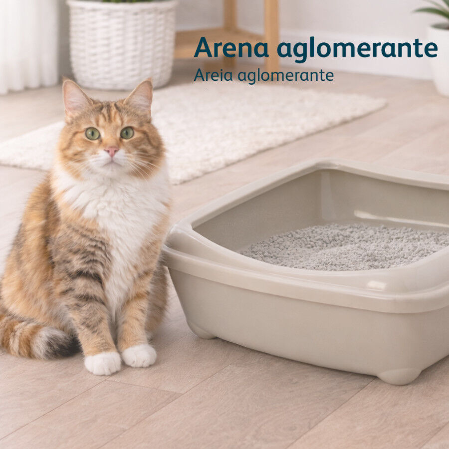 16 L Nova Clean Marsella Arena Aglomerante para gatos, , large Imagen numero 5