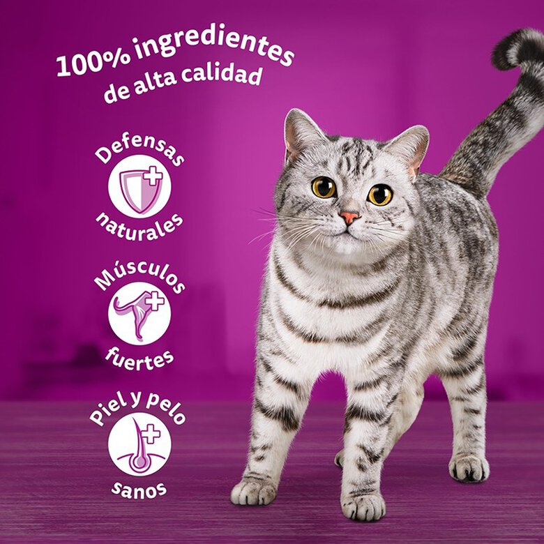 Whiskas Selección Clásicos Sobre en Salsa para gatos - Multipack, , large image number null