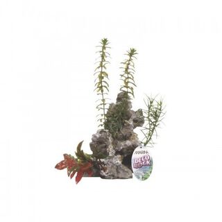 Marina deco rock - roca con plantas color Gris