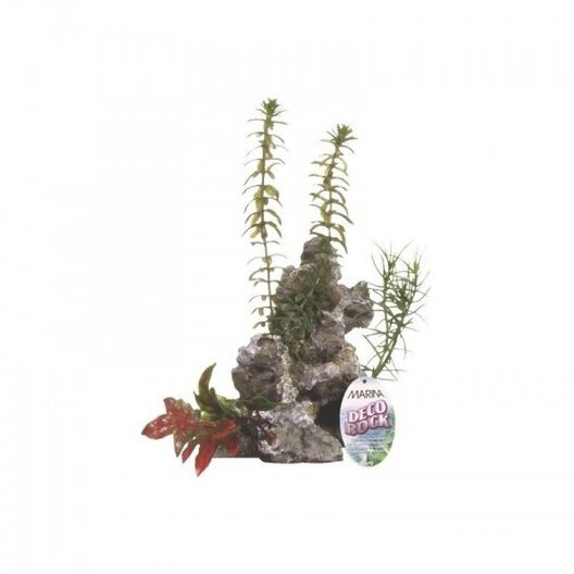 Marina deco rock - roca con plantas color Gris, , large image number null