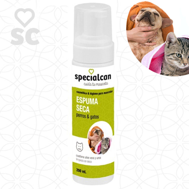 Specialcan Espuma Seca para perros y gatos