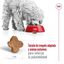 2 x 8 kg Royal Canin Mini 8+ Adult pienso para perros ¡Pack ahorro!, , large indicador imagen numero 7