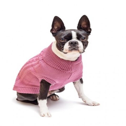 Chiara lottie jersey de lana rosa para perros | Tiendanimal