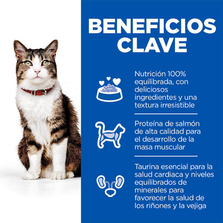 Hill&#039;s Science Plan Culinary Creations Salmón y Zanahorias pienso para gatos thumbnail