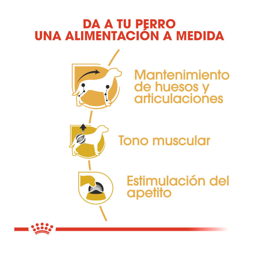 Royal Canin Adult Teckel paté en sobre para perros thumbnail